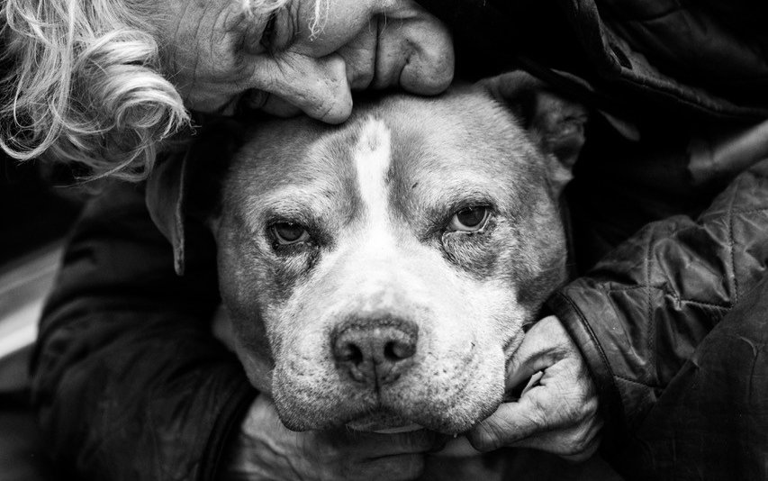 A dog being cuddled by a woman. Black and white photograph.