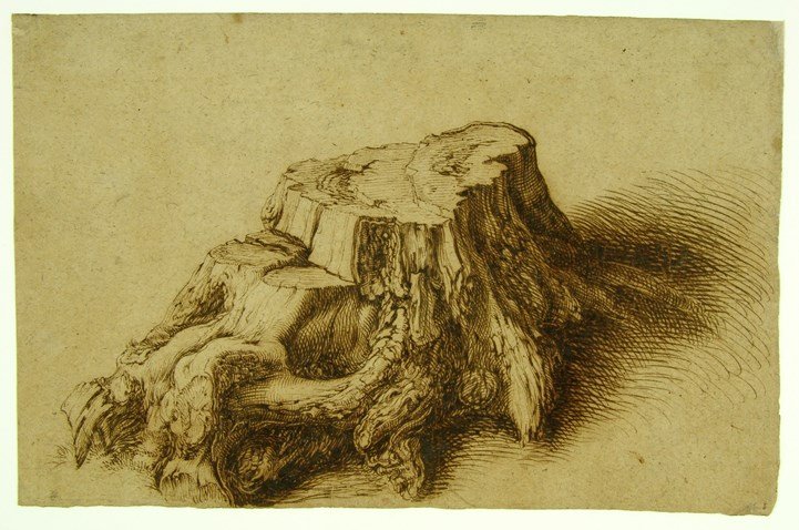 Bronze oak grove sketch