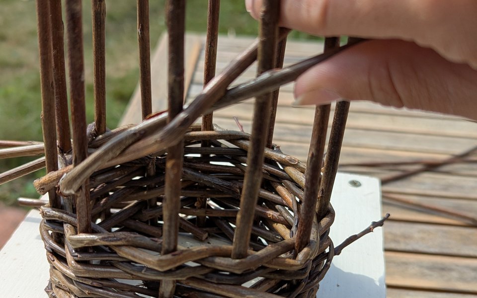 Willow bird feeder being woven