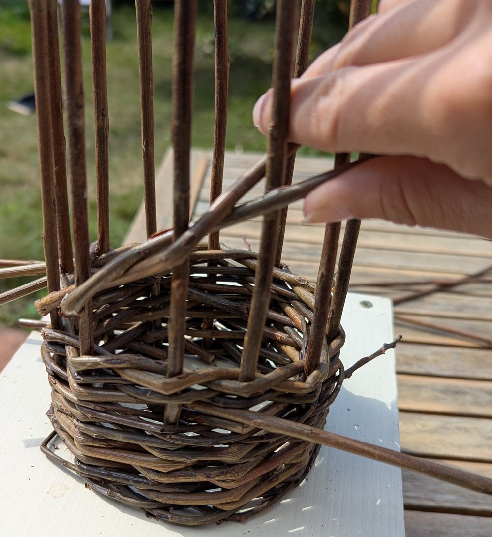 Willow bird feeder being woven