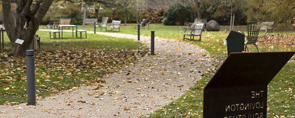 Garden in the autumn