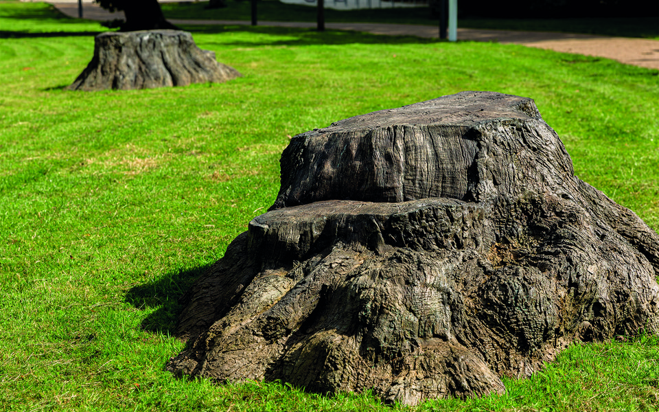 Bronze Oak Grove_CMYK