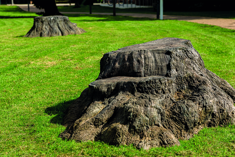 Bronze Oak Grove_CMYK