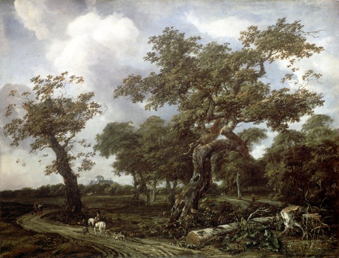Landscape with a cut down tree next to a road with larger trees behind.