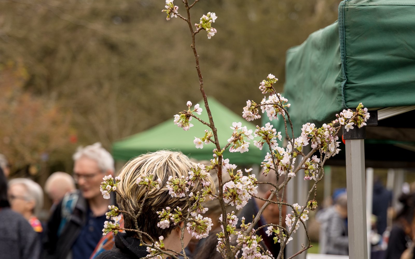 DPG_FarmersMarket-4000px-4O0A0761