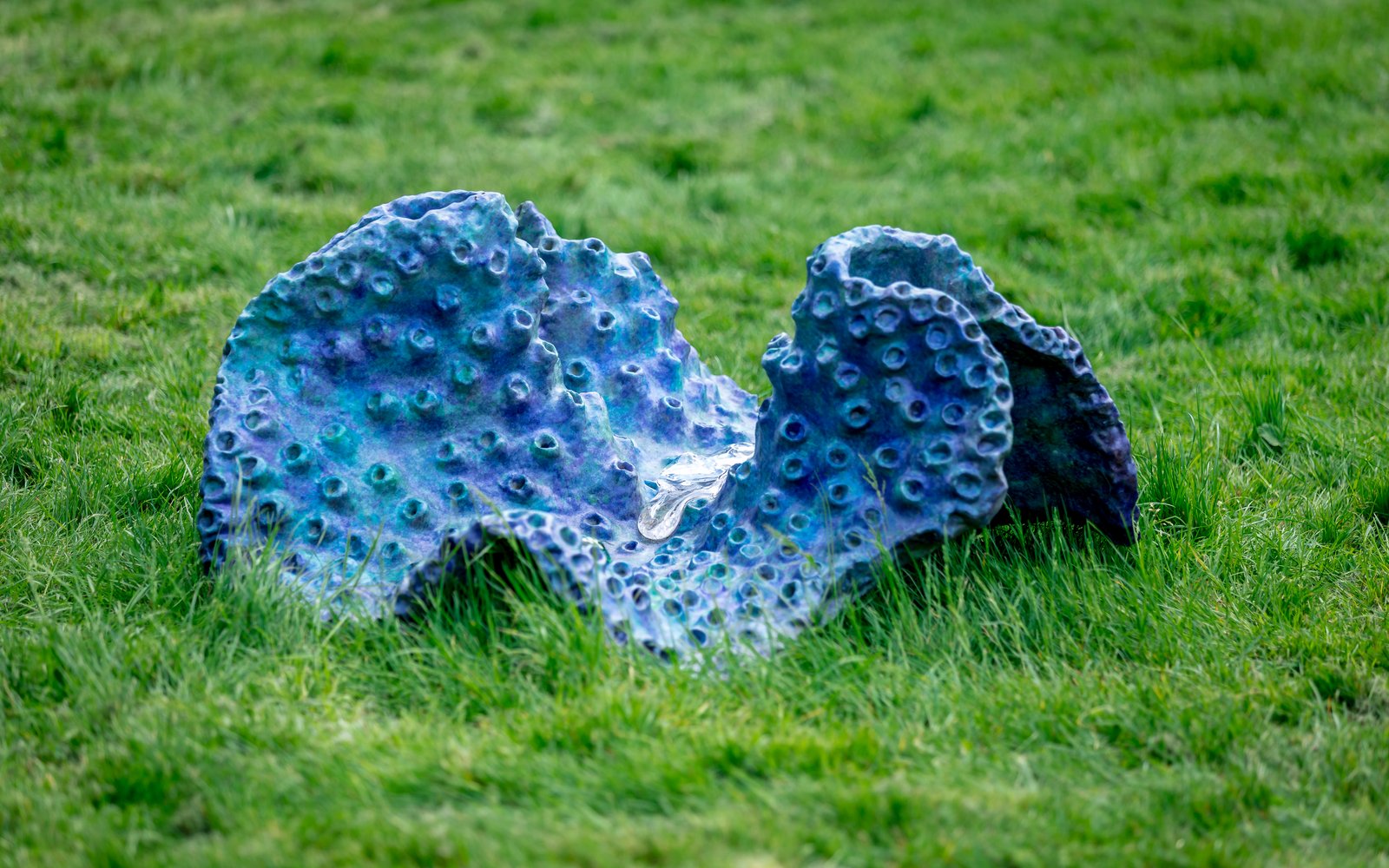 DPG_SculptureGarden-4000px-4O0A5211