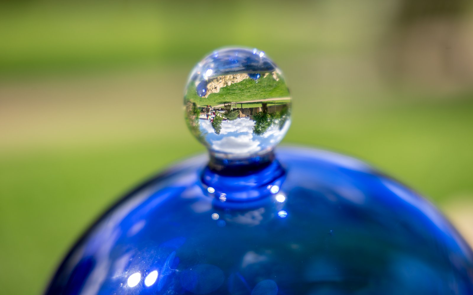 DPG_SculptureGarden-4000px-4O0A5422