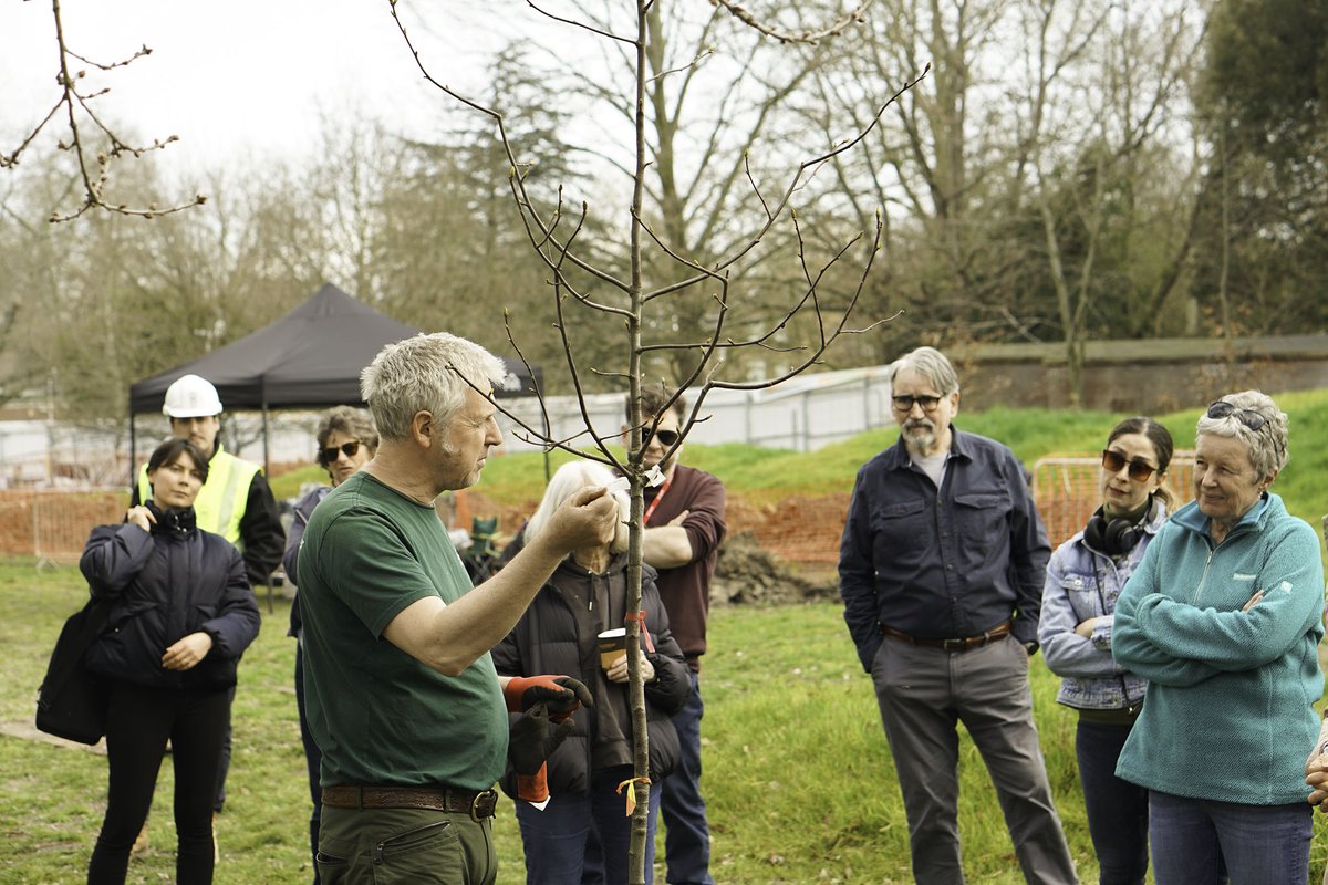 A group of people stand around a man planting a tree in a field.