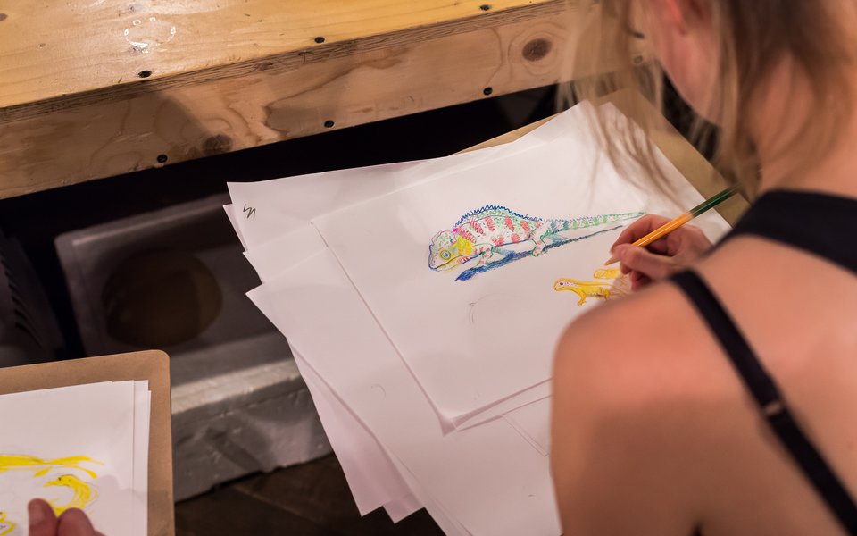 A child drawing a lizard