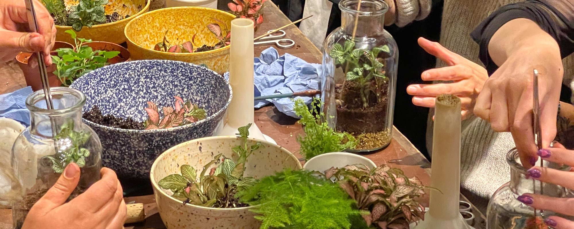 Snapshot of a terrarium workshop on a table scattered with jars and plants and soil