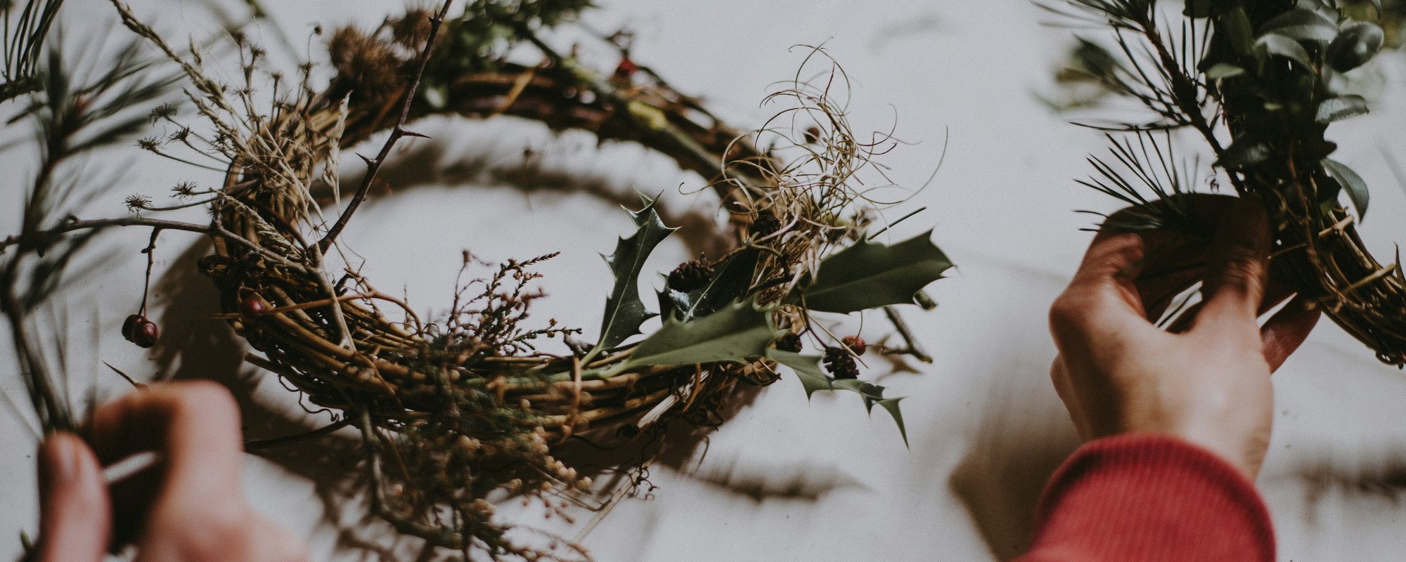 annie-spratt-M9pXOKFZGCo-unsplash