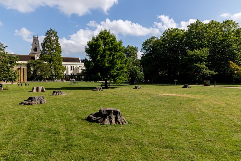 bronze-oak-grove_stumpinstallation-2000px-282a8010