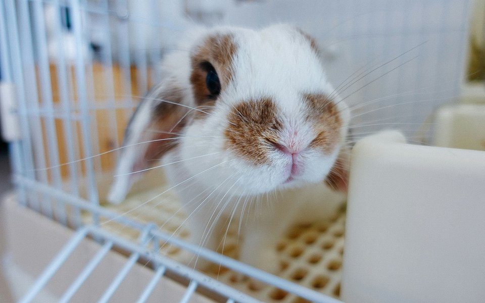 chan-chai-kee-0fcmNtBdEjo-unsplash