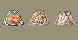 lampshades