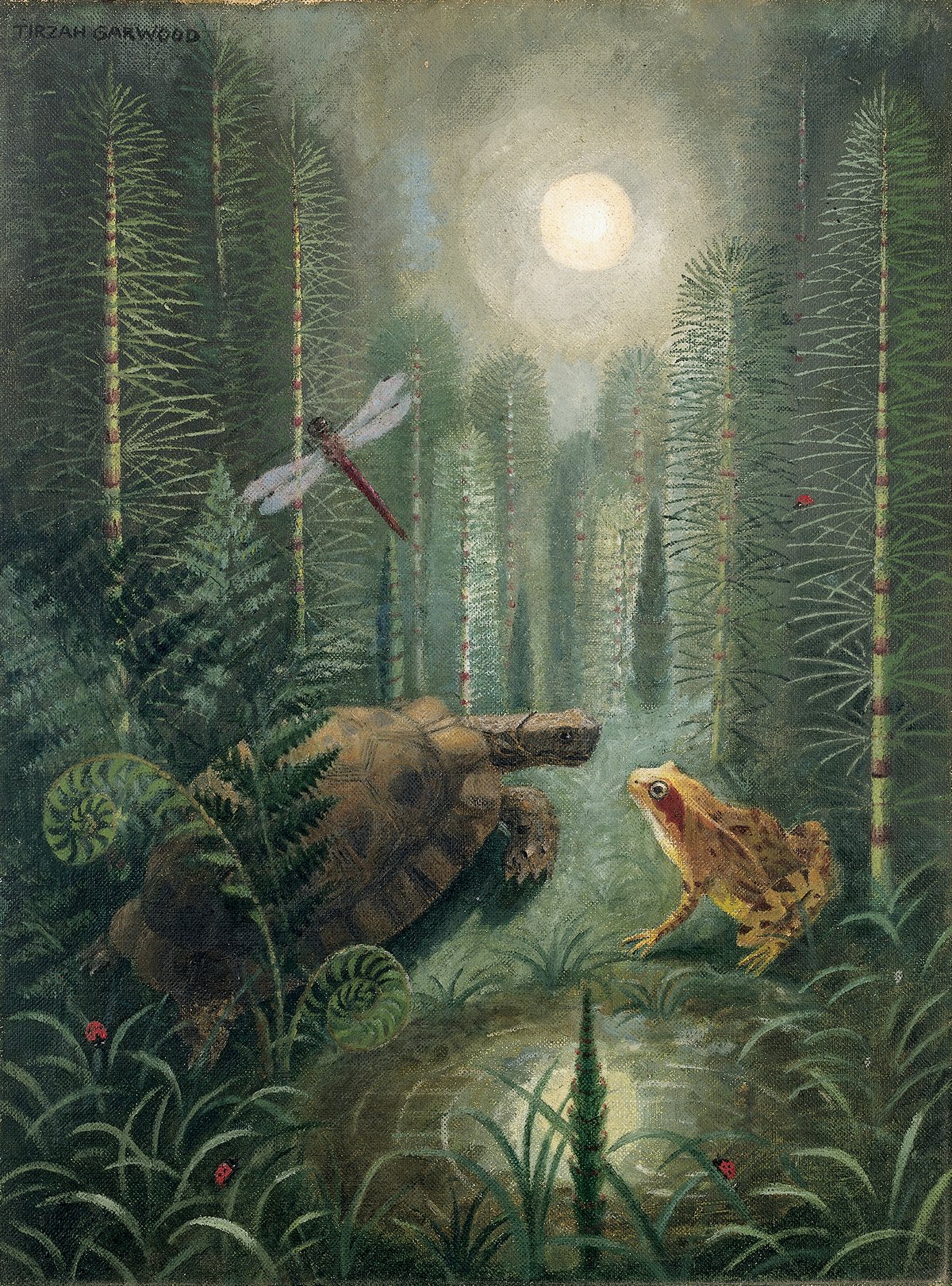 tg245-retouched-from-jwn-32